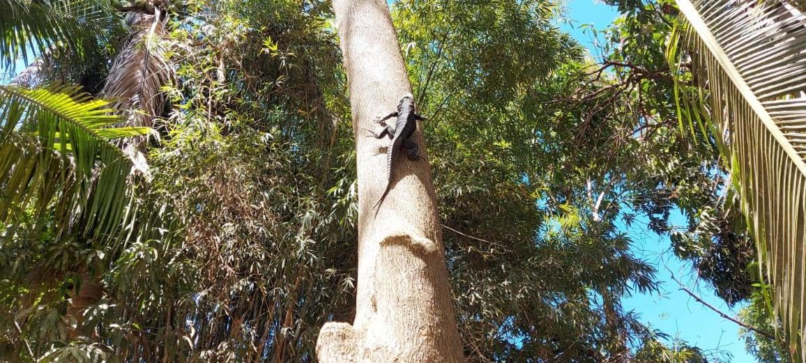 Posada La Huerta Mazunte Luaran gambar